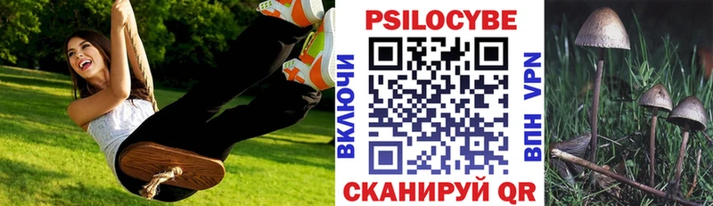 Псилоцибиновые грибы Psilocybine cubensis  Купить закладки  Ярославль 